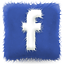 SNetworks in Facebook
