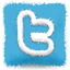 SNetworks in Twitter
