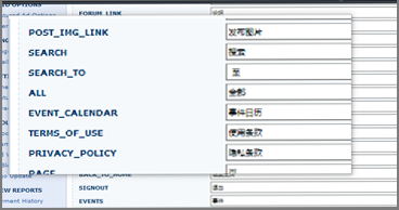 Many languages supported by SNetworks Classifieds